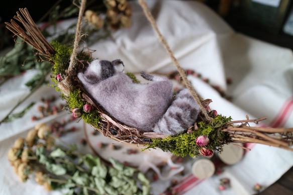 ねむねむアライグマちゃん 2枚目の画像