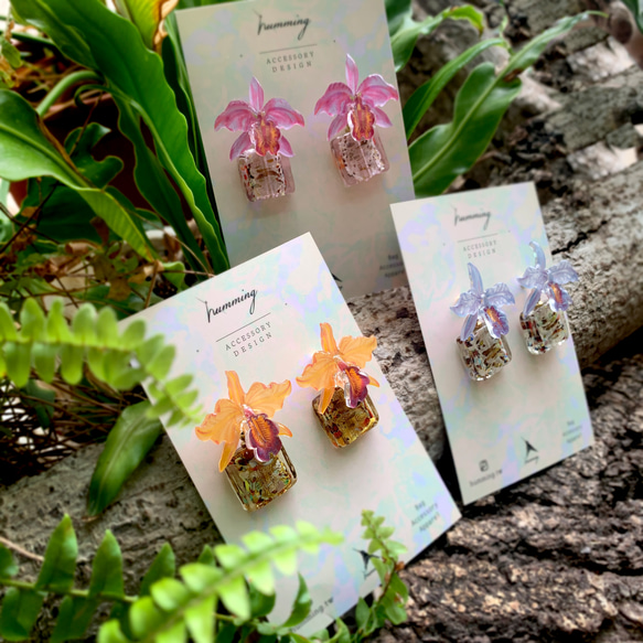 耳環 嘉德麗雅蘭 樹脂 琉璃 蘭花 銀飾 禮物 禮盒 耳夾 手工 第1張的照片