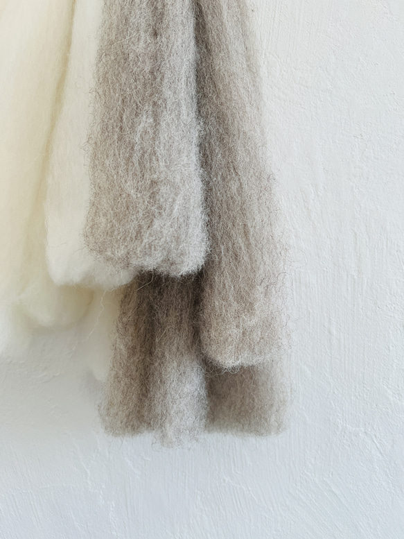 クリクリ羊毛と2色のトップのハンギング 3枚目の画像