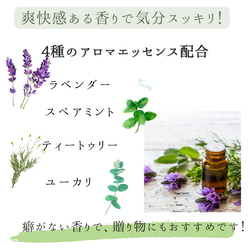 【母親節早鳥】藍薄荷植物標本室香氣郵票禮物母親節生日天然石三月海藍寶石禮物 第13張的照片