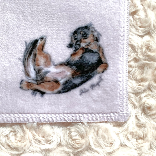 モールアート☆ミニダックス☆へそてん モールアート☆ミニダックス①