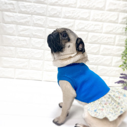 リブ×花柄フリルワンピース♡#パグ#フレンチブルドッグ#犬服#ドッグウェア 6枚目の画像