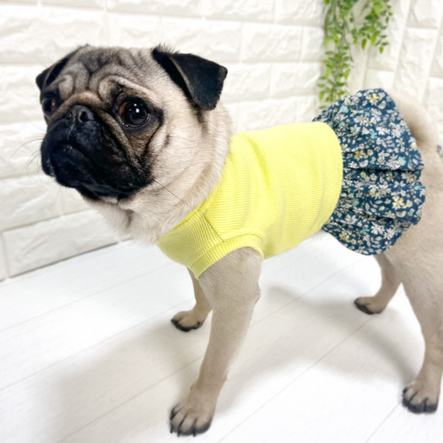 犬服 ハンドメイド ☆犬服ハンドメイド☆フレブル.パグのお洋服