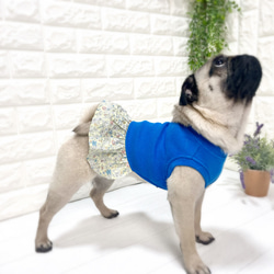 リブ×花柄フリルワンピース♡#パグ#フレンチブルドッグ#犬服#ドッグウェア 5枚目の画像