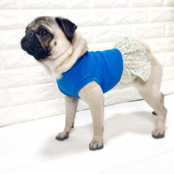 リブ×花柄フリルワンピース♡#パグ#フレンチブルドッグ#犬服#ドッグウェア 4枚目の画像