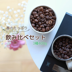 【送料無料】コーヒー飲み比べ3種400g お得な期間限定 スペシャルティコーヒー 1枚目の画像