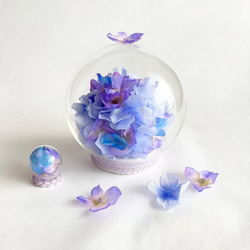 紫陽花のガラスドーム親子 12枚目の画像