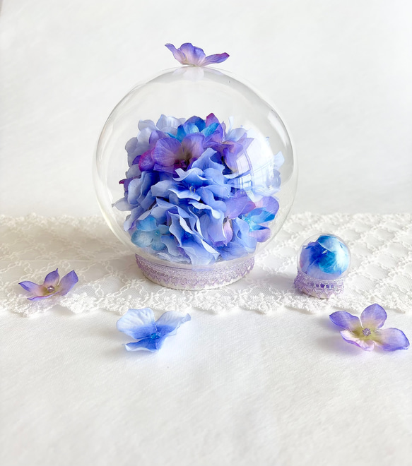 紫陽花のガラスドーム親子 16枚目の画像