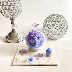 紫陽花のガラスドーム親子 7枚目の画像