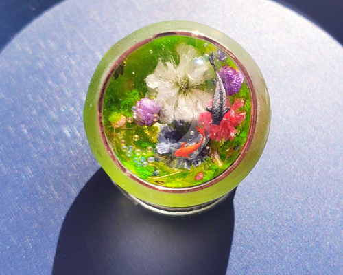 815177595fcc555c9d6cefbd01a29f