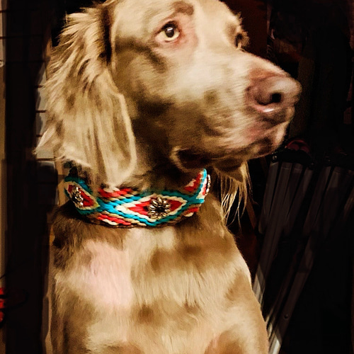 大型犬用ハーフチョーク オルテガ調 パラコード リード・首輪 Babies