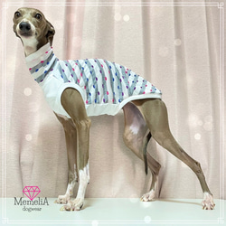 イタグレ用犬服】ひんやり生地が夏にぴったり♡ぽこぽこドットが可愛い