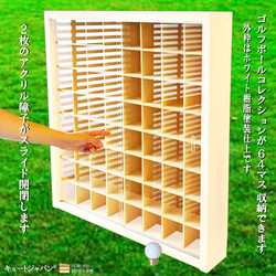 ゴルフボール コレクションケース 棚 マホガニ色全塗装 アクリル障子付 日本製 ゴルフボール コレクションケース アクリル障子付 日本製