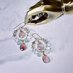 超超超希少】フォッシルコーラル 桜ピンク 2-3.5億年前の有機宝石