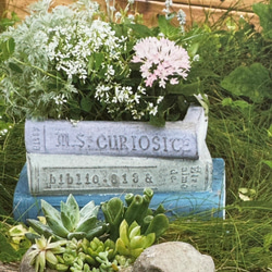 《可愛いBOOK 本型 陶器鉢 》マニュエルポット 観葉植物 お花の寄せ植え ガーデニング アンティーク 592 2枚目の画像