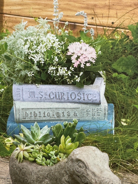 《可愛いBOOK 本型 陶器鉢 》マニュエルポット 観葉植物 お花の寄せ植え ガーデニング アンティーク 592 2枚目の画像