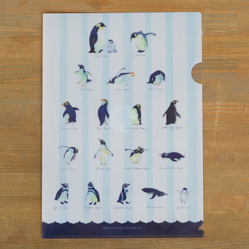 A4クリアファイル】Pen -ペンギンモクのなかまたち- その他雑貨 南極