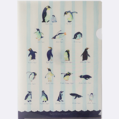 A4クリアファイル】Pen -ペンギンモクのなかまたち- その他雑貨 南極