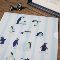 【A4クリアファイル】Pen -ペンギンモクのなかまたち- 5枚目の画像