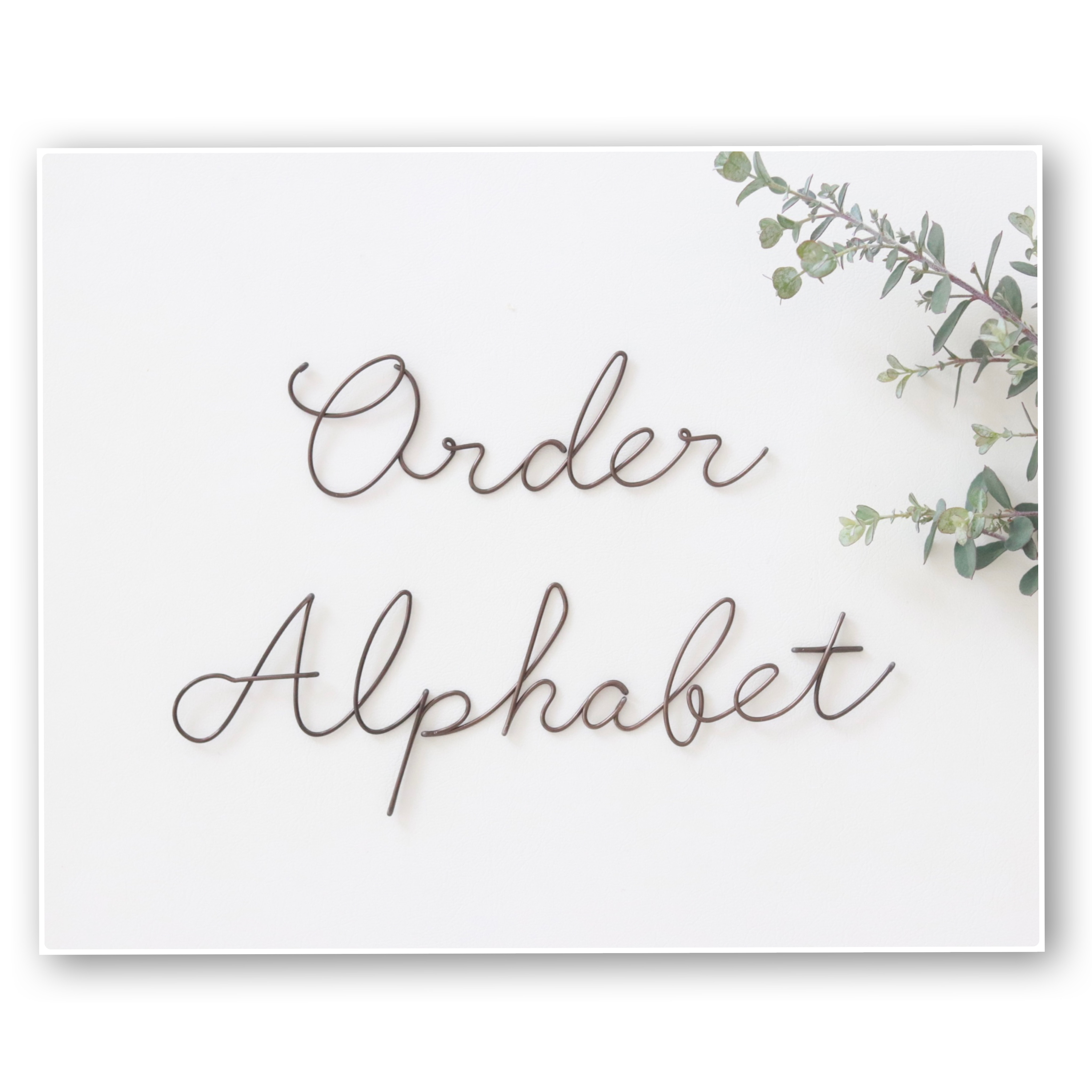 order alphabet * naturalタイプ * wire art 虫ピン付属 オーダー 