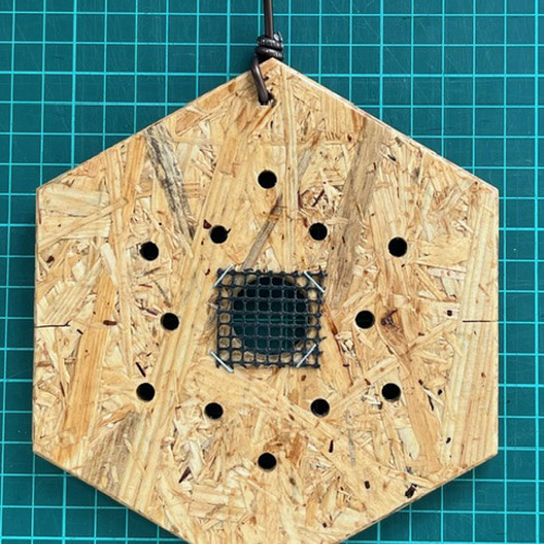 ビカクシダ・コウモリラン着生植物用着生板 9㍉厚のOSBボード1枚