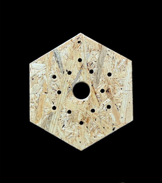 【オーダ連絡用】ビカクシダ デザイン着生板　板厚12mm Amazon.co.jp: 透明着生板Mサイズ ビカクシダ板付け/壁掛け/高級