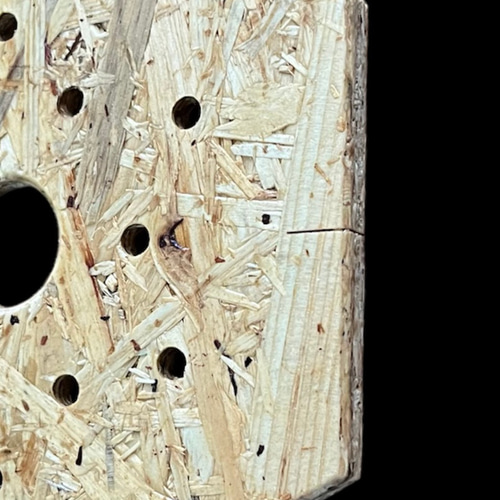 【オーダ連絡用】ビカクシダ デザイン着生板　板厚12mm ビカクシダ・コウモリラン着生植物用着生板 9㍉厚のOSBボード1枚