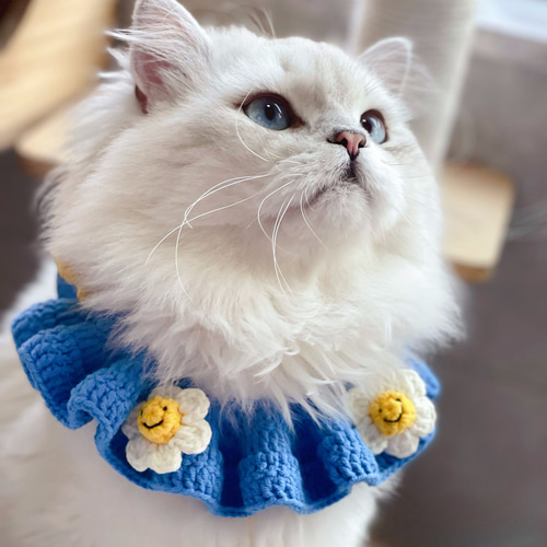 サマーストライプ(青)わんちゃん猫ちゃん用シャツ襟首輪 EMY's Gallery 猫襟 ワンちゃん襟 首輪 カギ編み 犬襟 つけ襟