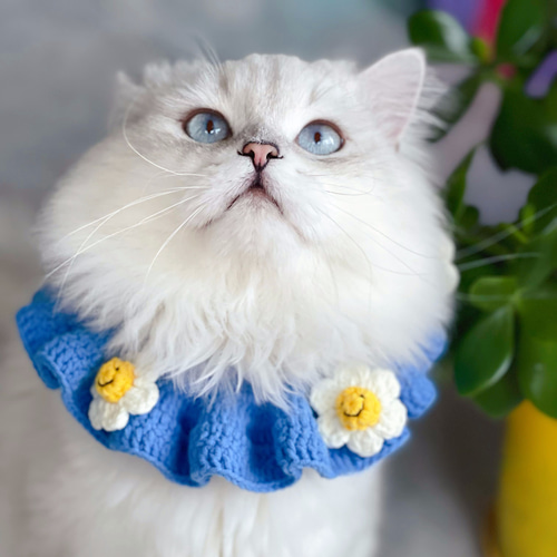 EMY's Gallery 猫襟 ワンちゃん襟 首輪 カギ編み 犬襟 つけ襟