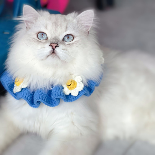 EMY's Gallery 猫襟 ワンちゃん襟 首輪 カギ編み 犬襟 つけ襟