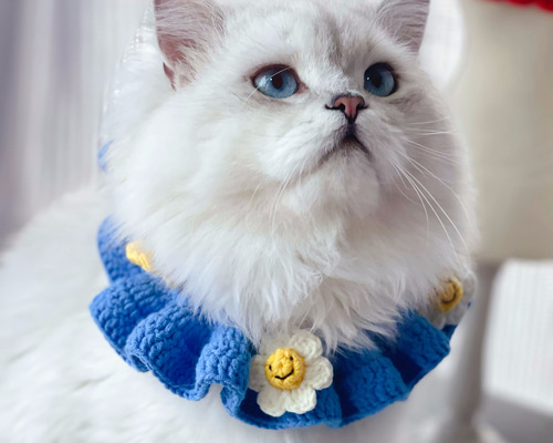 a313d2e480bdf120442a0d3c3d1e3a