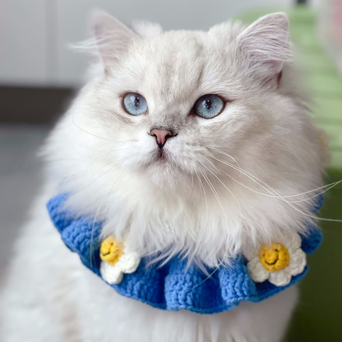 EMY's Gallery 猫襟 ワンちゃん襟 首輪 カギ編み 犬襟 つけ襟