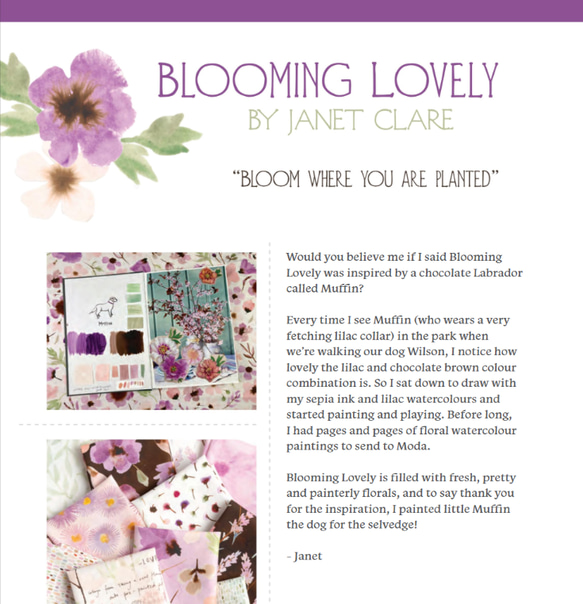「Blooming Lovelyシリーズ 3枚セット」moda 生地 カットクロス Janet Clare 8枚目の画像