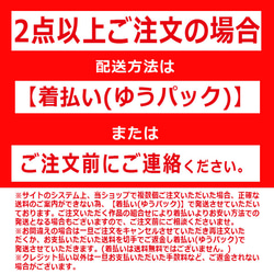 【1点もの】Bigな2Wayワンショルダー(Sky) 10枚目の画像