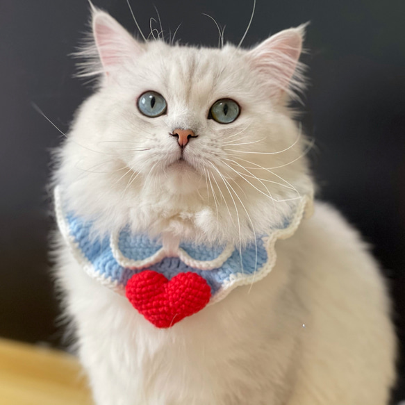 EMY's Gallery 猫襟 ワンちゃん襟 首輪 カギ編み 犬襟 つけ襟