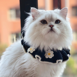 EMY's Gallery 猫襟 ワンちゃん襟 首輪 カギ編み 犬襟 つけ襟