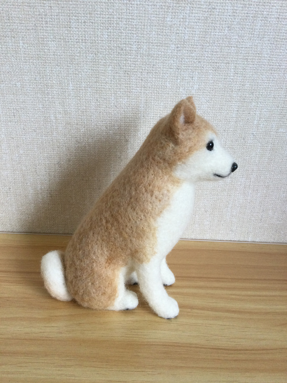 羊毛フェルト　白っぽい柴犬 5枚目の画像