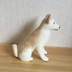羊毛フェルト　白柴　白い犬 5枚目の画像