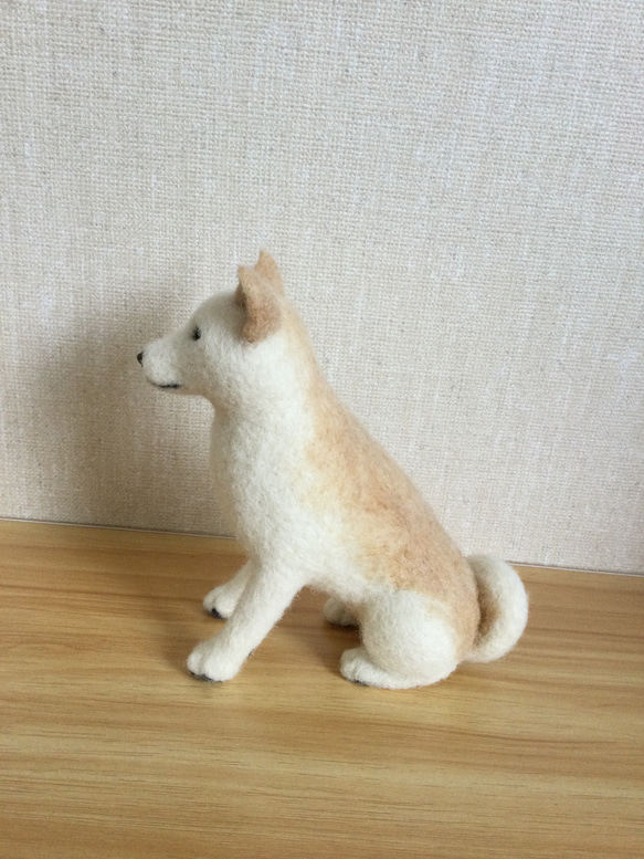 羊毛フェルト　白柴　白い犬 4枚目の画像