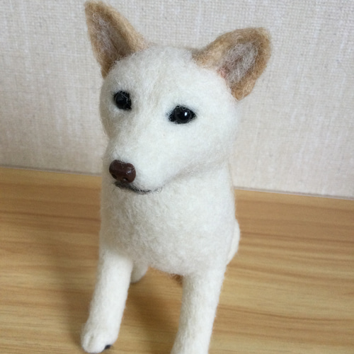 柴犬 羊毛 羊毛フェルト ハンドメイド 白柴 羊毛フェルト