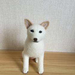 羊毛フェルト　白柴　白い犬 1枚目の画像