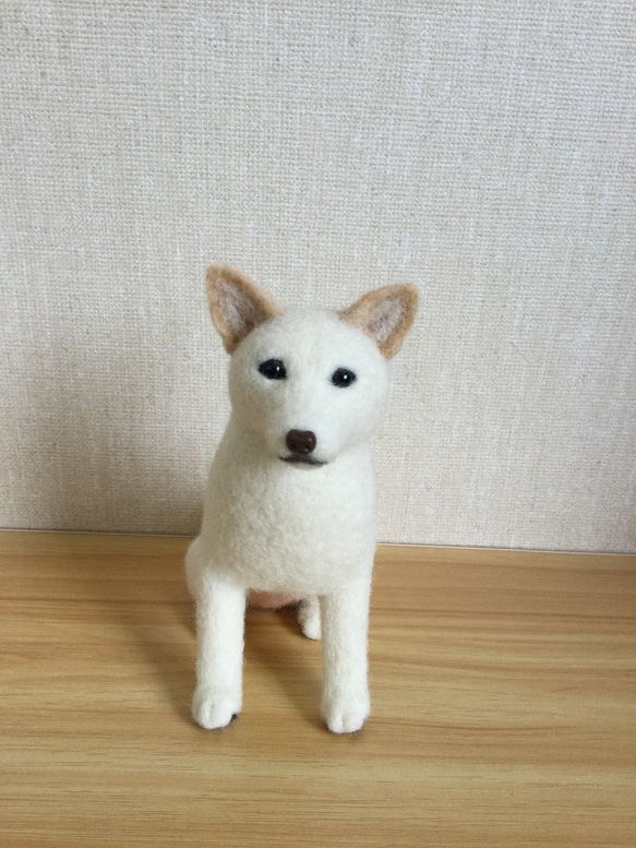 羊毛フェルト　白柴　白い犬 1枚目の画像