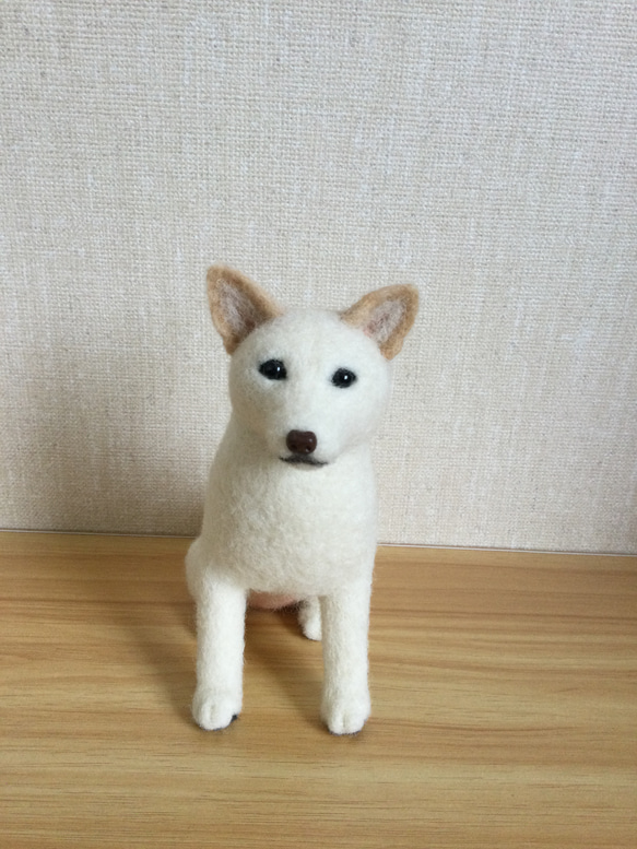 モンブラン様専用 羊毛フェルト 犬 白柴ちゃん