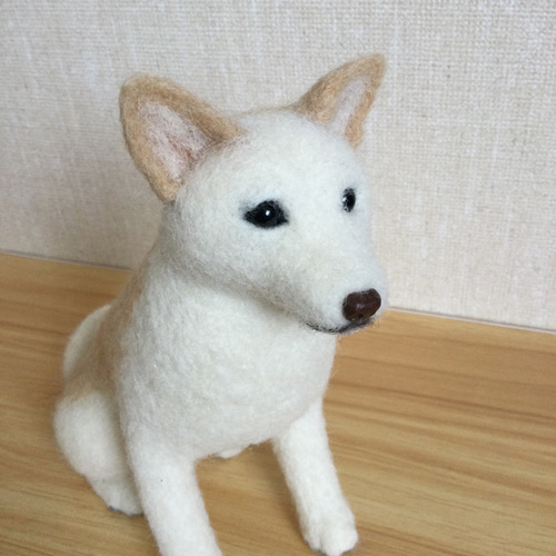 羊毛フェルト 白柴 白い犬 羊毛フェルト masapan 通販 17534362