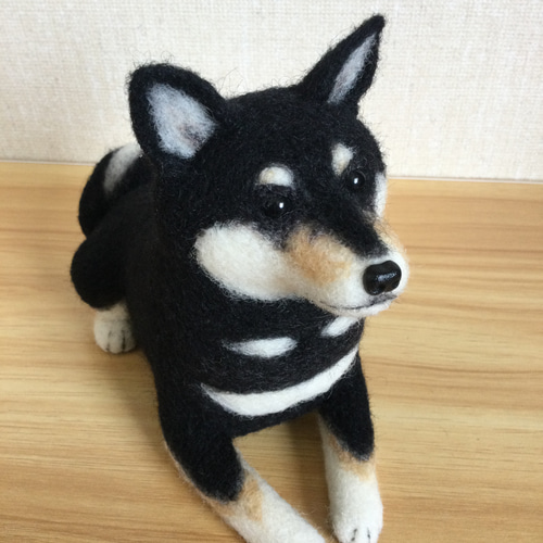 羊毛フェルト☆黒柴☆ハンドメイド 羊毛フェルト 黒柴さん 羊毛フェルト 羊毛わんこ 福や工房 通販