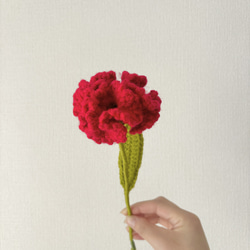 【カーネーション】carnation プレゼント　かぎ針編み　毛糸　枯れない花　枯れない花束　母の日限定セール　母の日 6枚目の画像