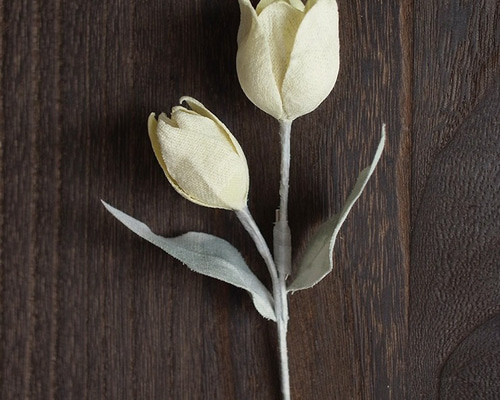 24157d53897ae0a82e18cb490c3dc1