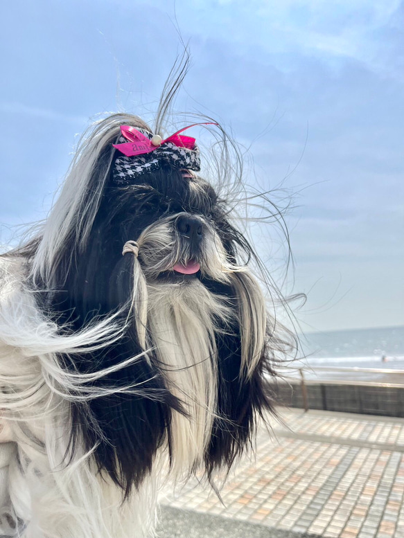 麻とお花　黄色　犬リボン　キッズリボン　子供りぼん　ヘアアクセサリー 6枚目の画像