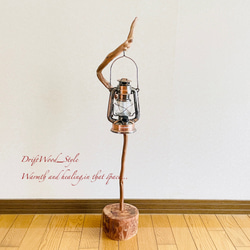 流木インテリア 芸術的にうねる細身の流木スタンド ランタンやエアプラントを飾れる置物 北欧 照明 木材 癒し N28 3枚目の画像