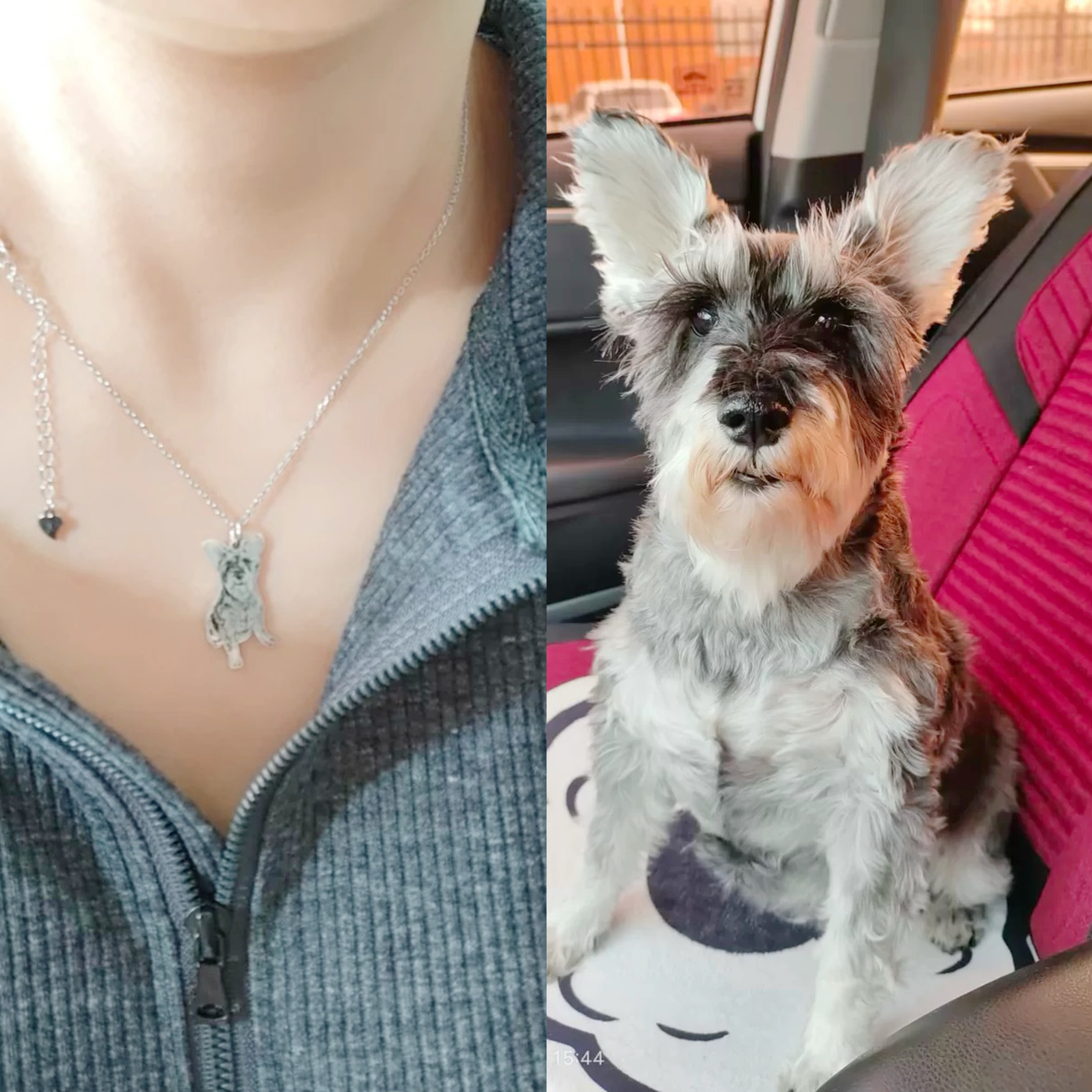 うちの子　銀製レーザー彫刻でオンリーワンのネックレス　動物　犬　猫　うさぎ　鳥　ハムスター